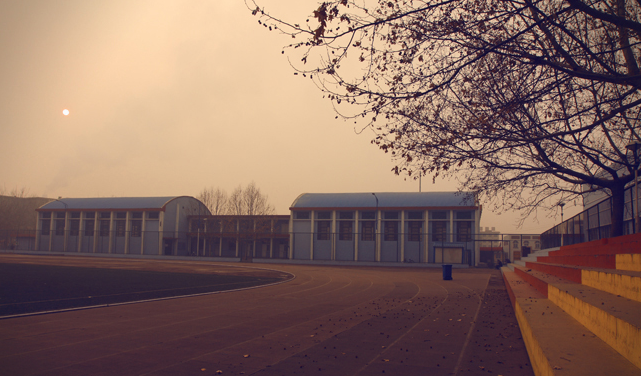 223746d4bqqsy7y77niiiz