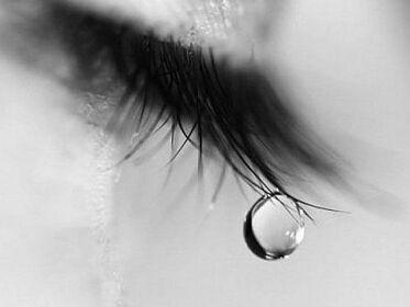 29f5ecae81304046b8d5c0b49cf43b35_th